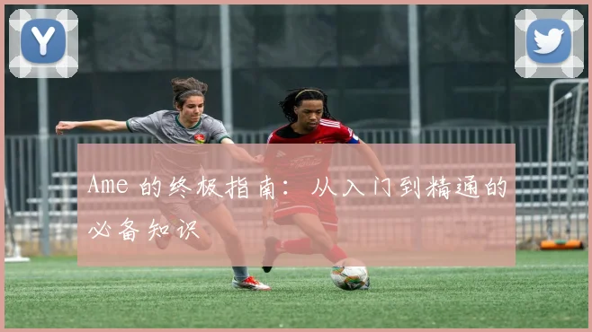 Ame 的终极指南：从入门到精通的必备知识