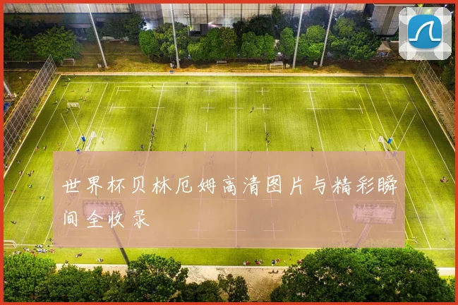 世界杯贝林厄姆高清图片与精彩瞬间全收录
