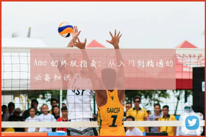 Ame 的终极指南：从入门到精通的必备知识